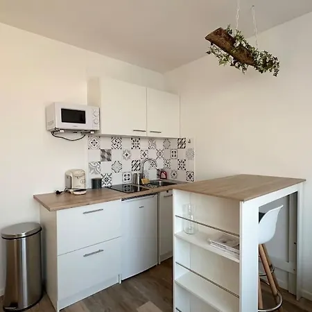 Studio Renove Διαμέρισμα Ντιζόν